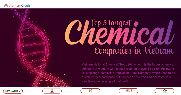 Top 5 largest chemical companies in Vietnam
